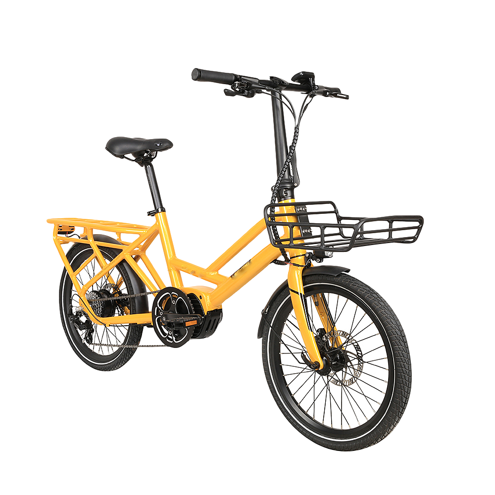 Bicicleta de carga CF-ECC02 de 20 pulgadas